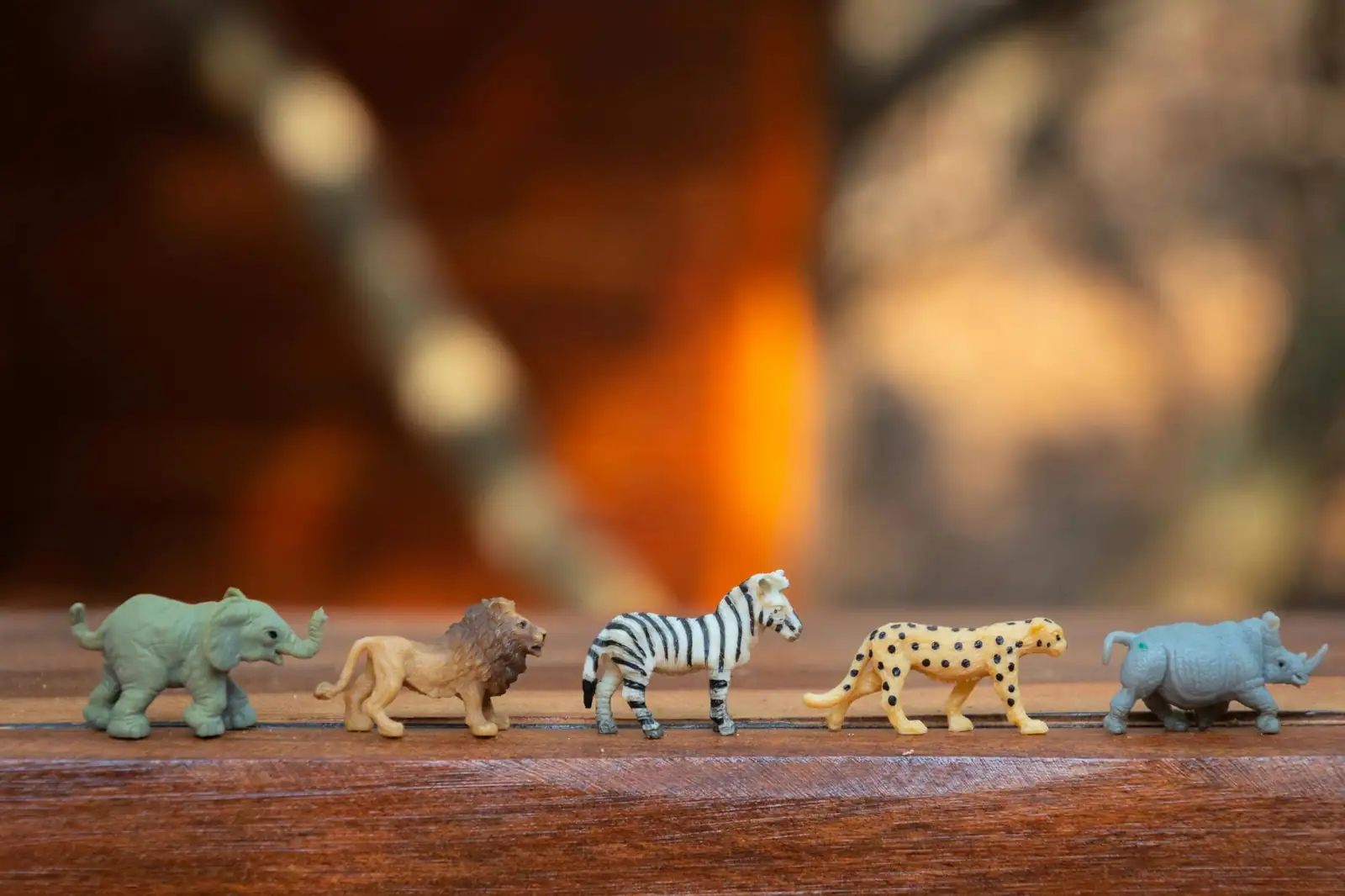 Toy animals lined up in a row