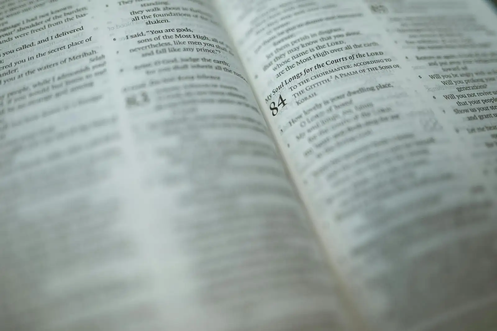 The pages of an open Bible
