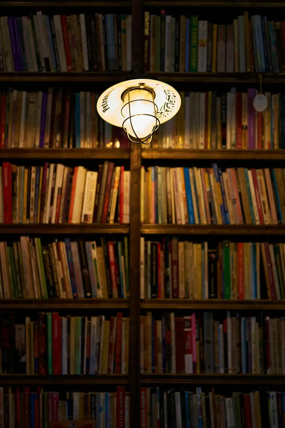 Shelves full of books